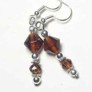 Brown Glass Silver plated Hooks Hidden Meaning earrings Poetcore , Unique   472■